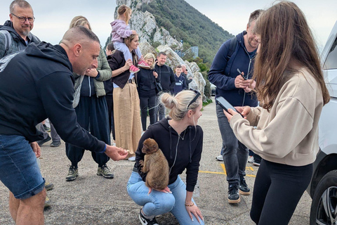 From Malaga: Exclusive Gibraltar – Local Guide, Small Groups