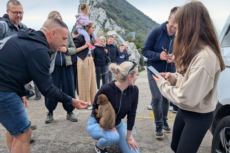 From Malaga: Exclusive Gibraltar – Local Guide, Small Groups