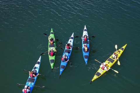 Orust: Kayak Rental 3 Hour Double Kayak