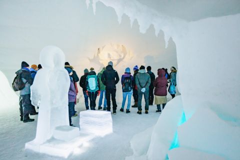 From Tromsø: Ice Domes Guided Tour and Reindeer Visit