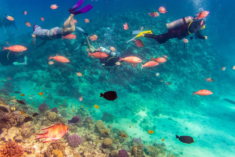 Sharm El Sheikh: Ras Mohamed Snorkeling & Diving Boat Trip Ras Mohamed & White Island – Snorkeling Package