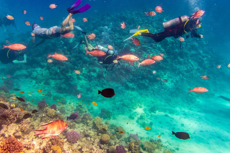 Sharm El Sheikh: Ras Mohamed Snorkeling & Diving Boat Trip Ras Mohamed & White Island – Snorkeling Package