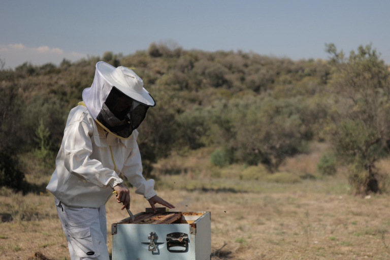 Kalamata: Beekeeping Experience with Honey Tasting