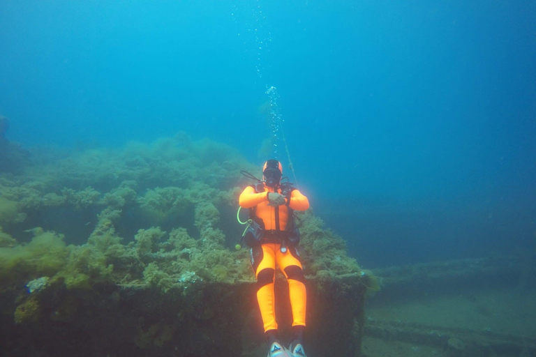 Hammamet: Guided Diving Experience with Hotel Transfer