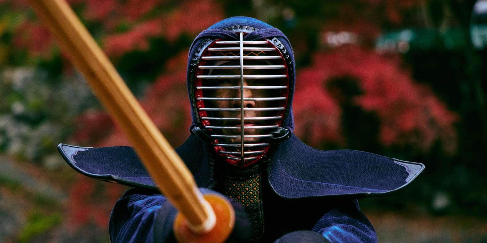 Kyoto experience — temples, geisha, bamboo grove — image 30