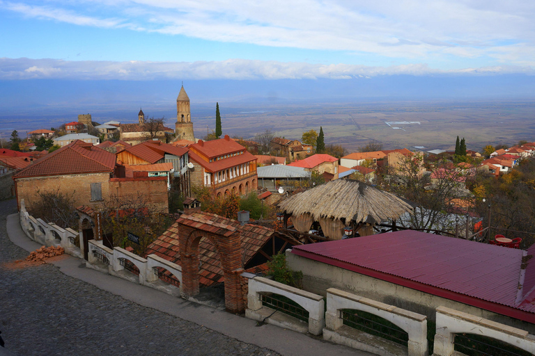 From Tbilisi: Kakheti Region Tour with 7 Wine Tastings