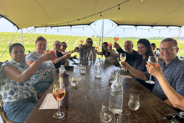 Niagara Benchlands: Ebike Tour with Wine Tastings