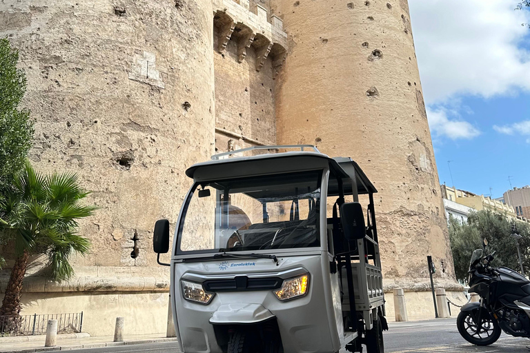 Valencia: Tour storico in Tuk Tuk 1H