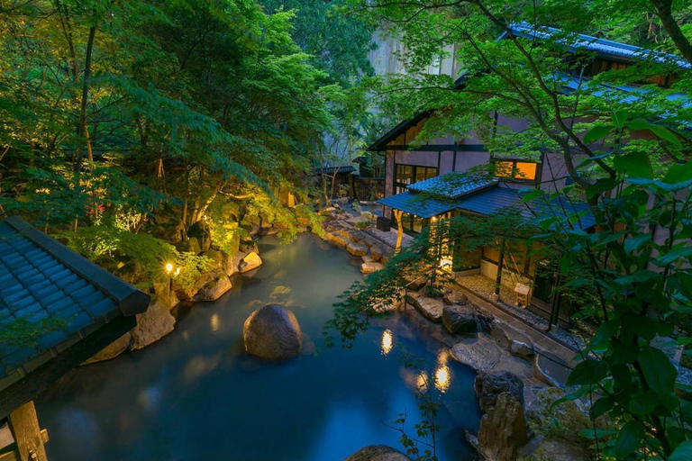 Tokio: Dagtrip Onsen, kunst en natuur naar Fuji en HakoneGroepsreis in een minibus