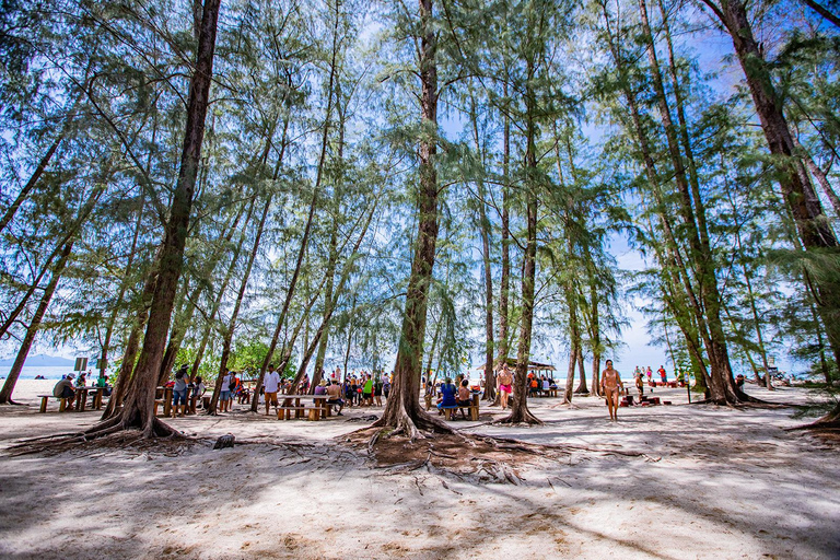 Desde Khao Lak Excursión de un día a las Islas Bambú y Phi Phi, y a la Bahía Maya