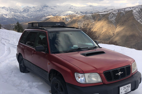 Yerevan: Vayots Dzor Private Tour with Geyser & Fortress