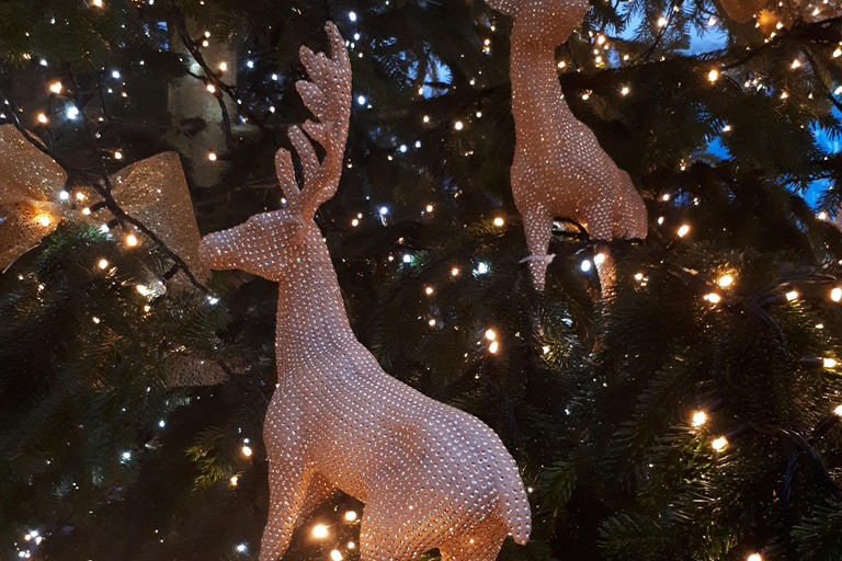 维尔纽斯：老城区圣诞传统徒步导览