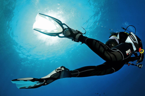 Madère : expérience de plongée sous-marineMadère: expérience de plongée sous-marine guidée de 3 heures