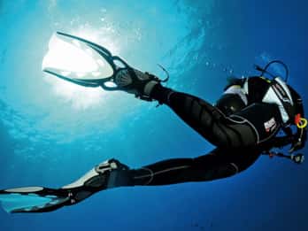Funchal: Scuba Diving Experience for Beginners