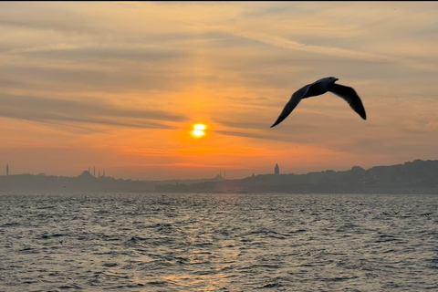 Explore Istanbul: Daily Scenic 2-Hour Bosphorus Cruises Sunset Cruise