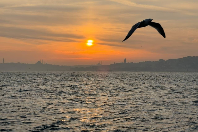 Explore Istanbul: Daily Scenic 2-Hour Bosphorus Cruises Sunset Cruise