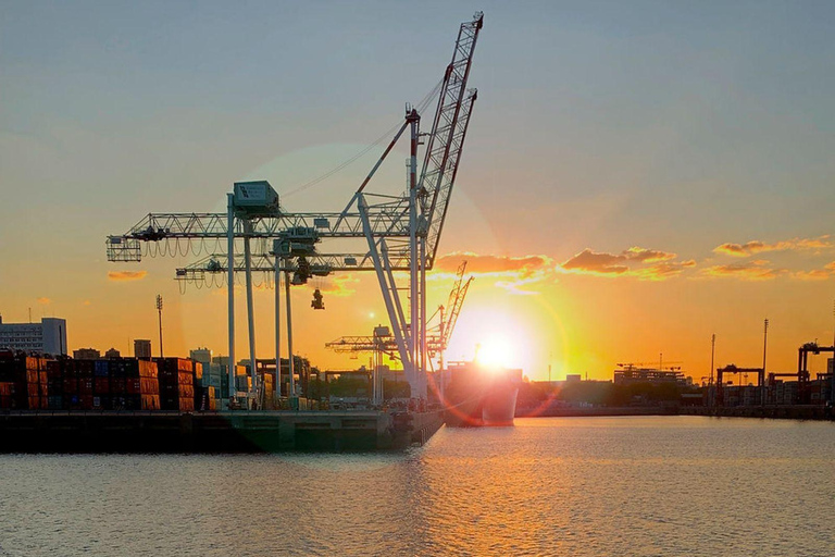 布宜诺斯艾利斯：含开放式酒吧的拉普拉塔河日落巡游1 小时游览