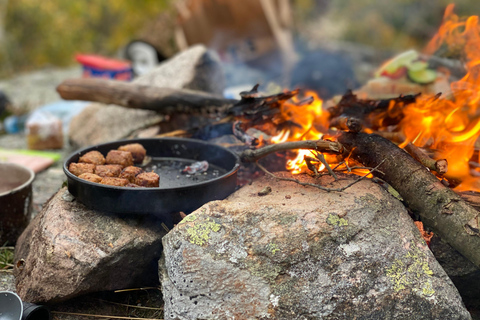 Göteborg: Das lokale Erlebnis – Hausbesuch, Essen &amp; WaldGöteborg: Erlebe Schweden mit einem Einheimischen