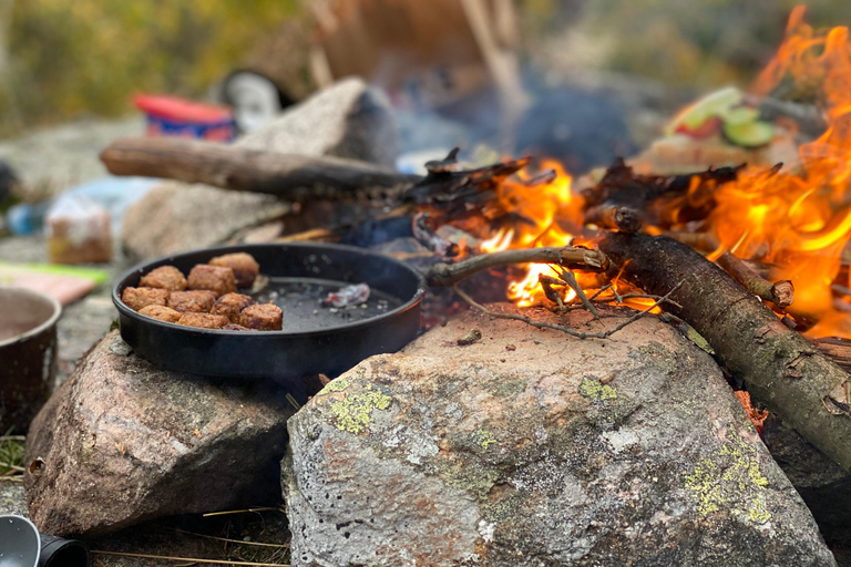 Göteborg: Das lokale Erlebnis – Hausbesuch, Essen &amp; WaldGöteborg: Erlebe Schweden mit einem Einheimischen