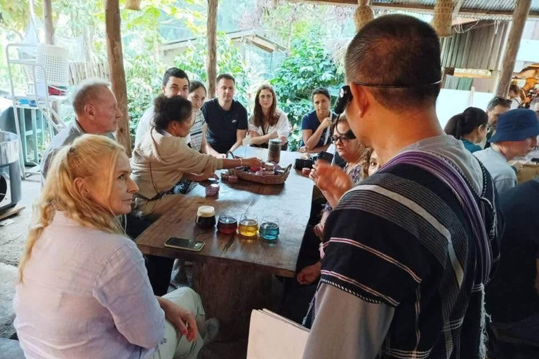 Chiang Mai: Doi Inthanon Pha Dok Siew Trek & Karen Culture