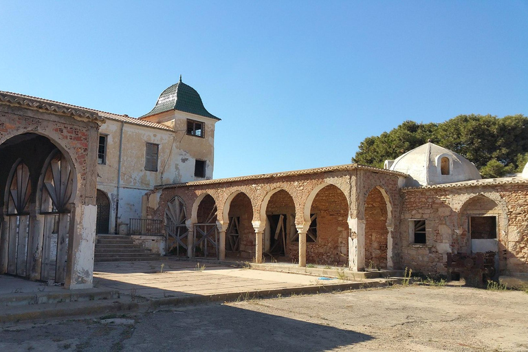 Oran: The absolute everything of El Bahia with a local