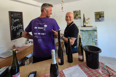 Alsace Villages and Colmar with Wine Tastings