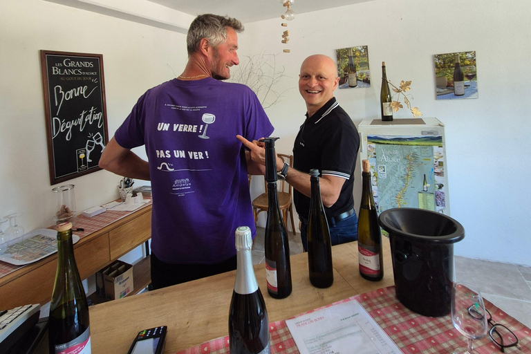 Alsace Villages and Colmar with Wine Tastings