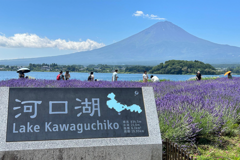 Mt. Fuji & Hakone Private Tour T/F Tokyo, Yokohama up to 12 From Yokohama to Tokyo up to 10