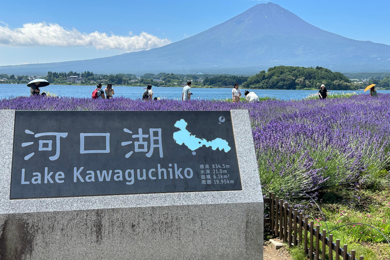 Mt. Fuji & Hakone Private Tour T/F Tokyo, Yokohama up to 12 From Yokohama to Tokyo up to 10
