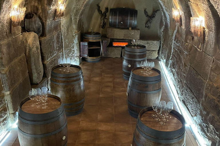 DEGUSTAZIONE NELLA CANTINA SOTTERRANEA (BOZZA)