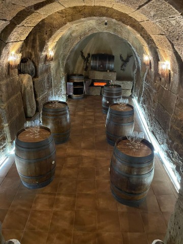 Visit CATA EN BODEGA SUBTERRANEA(CALADO) in La Rioja