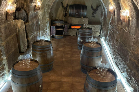 DEGUSTAZIONE NELLA CANTINA SOTTERRANEA (BOZZA)