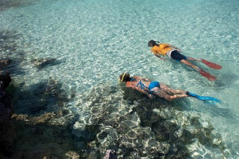 From Puerto Ayora: Daily Tour North Seymour Island & Lunch