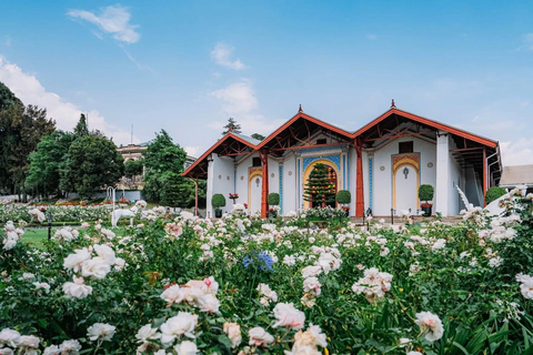 Addis Ababa Layover Tour: Unity Park, Coffee & Local Lunch