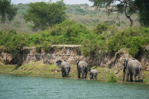 9 jours de safari dans le meilleur de l'Ouganda avec les gorilles