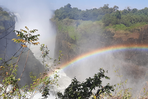 Victoria Falls: Guided tour by local guidesVictoria Falls: Guided Tour by local guides