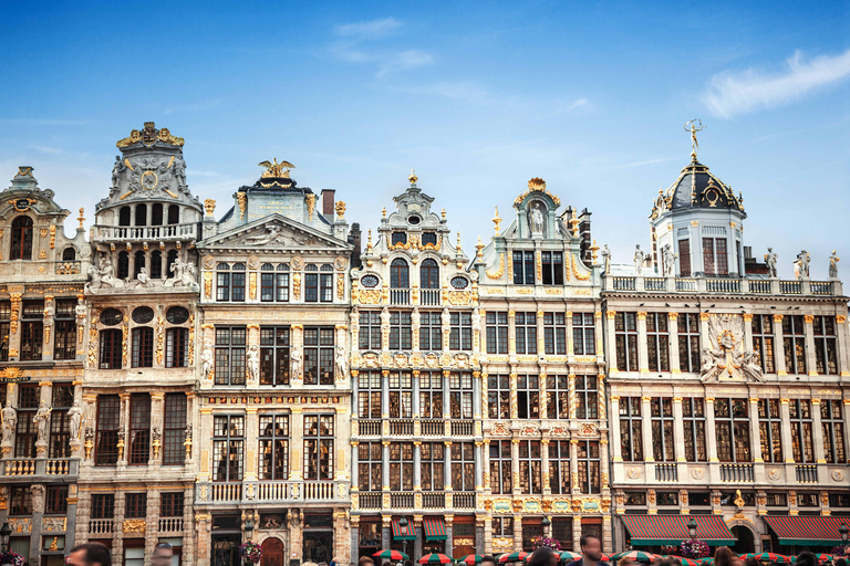 From Brussels: Brussels Tour with Waterloo and Atomium Stop