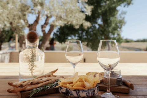 Aix-en-Provence: Visit a Lavender Field + Snacking at TERRE UGO Aix-en-Provence: Visit a Lavender Field + Snacking TERRE UGO