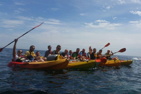 Valencia: Excursie per kajakKajaktocht in Valencia + Snorkelen