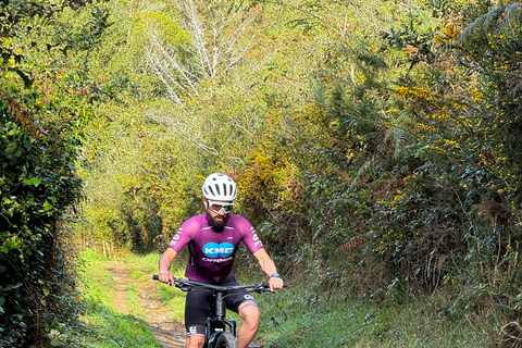 Louez votre vélo avec nous et nous vous aiderons à découvrir le Gipuzkoa.