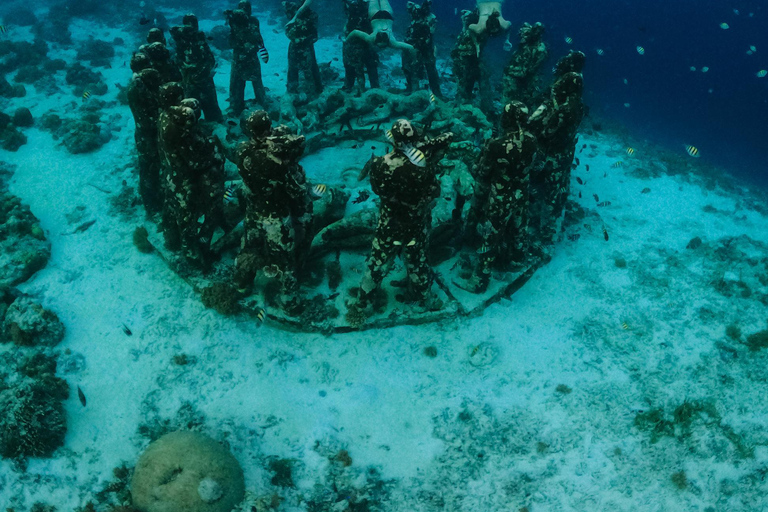 جولة الغوص السطحي في جزر جيلي - استكشف الجنة تحت الماءأفضل صفقة - رحلة مفتوحة للغطس من جيلي تراوانجا