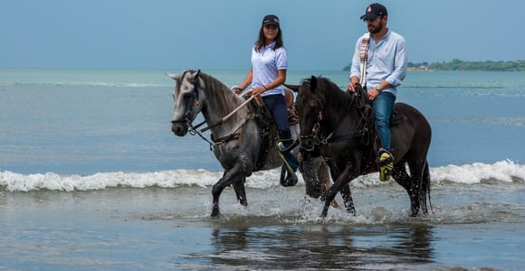 Cartagena: Beach Horse Ride and Colombian Equestrian Culture