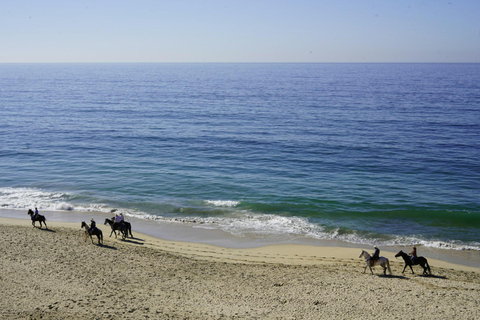 Tobago: Scenic Buccoo Bay Horseback Trail Ride