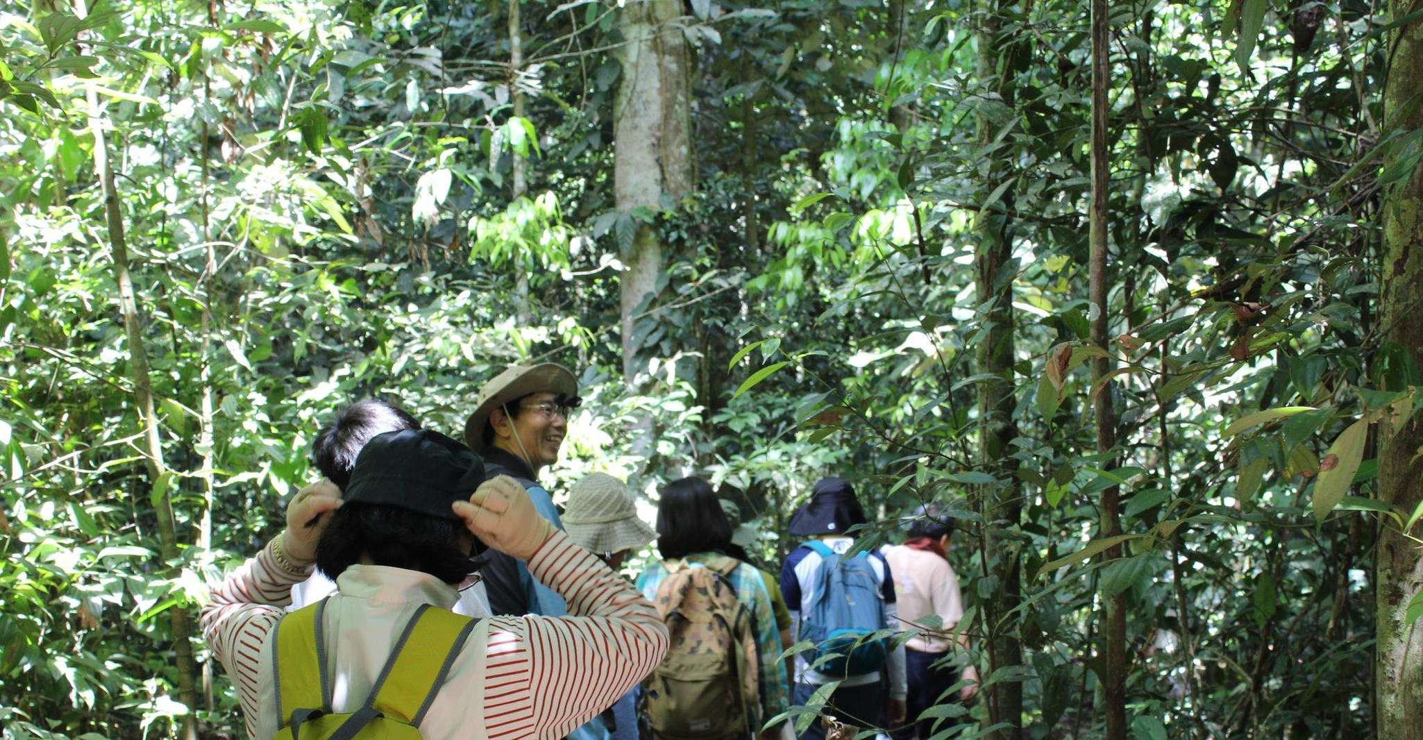 Terug naar de natuur trekking en wandelen in Khao Yai National Park - Housity