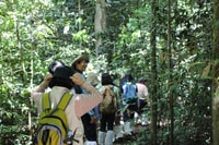 Retour à la randonnée et à la randonnée dans le parc national de Khao Yai - Housity
