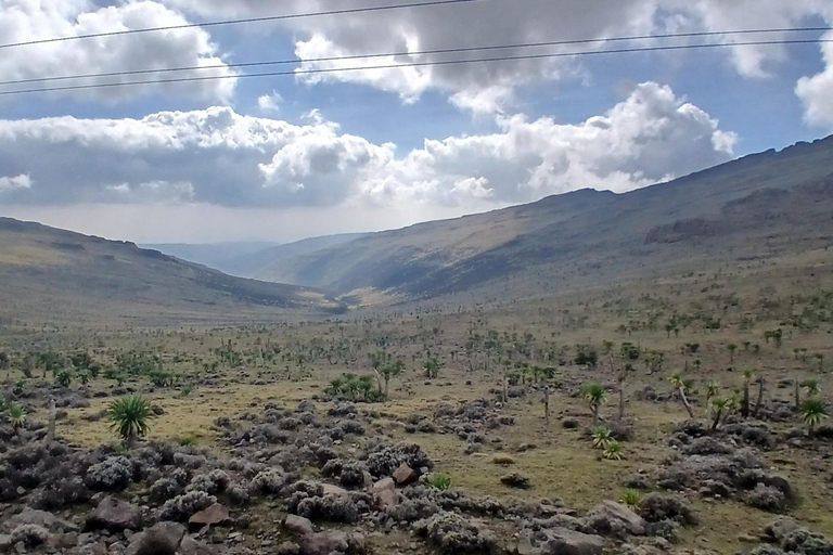 From Gondar 7-Day Simien Mountains Trekking Tour