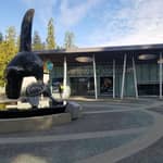 Ingresso all'Acquario di Vancouver e tour digitale di Stanley Park