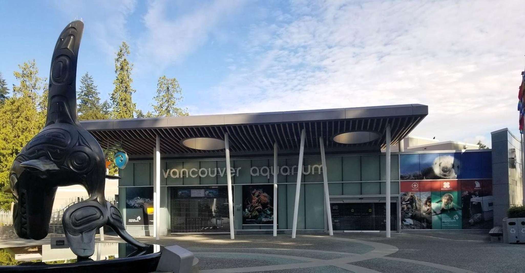 Vancouver Aquarium Entry & Digital Stanley Park Walk