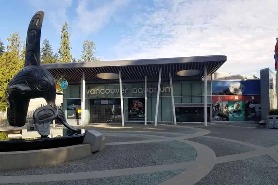 Vancouver Aquarium: Eintritt & digitaler Spaziergang durch den Stanley Park. Foto: GetYourGuide Vancouver Aquarium: Eintritt & digitaler Spaziergang durch den Stanley Park. Foto: GetYourGuide