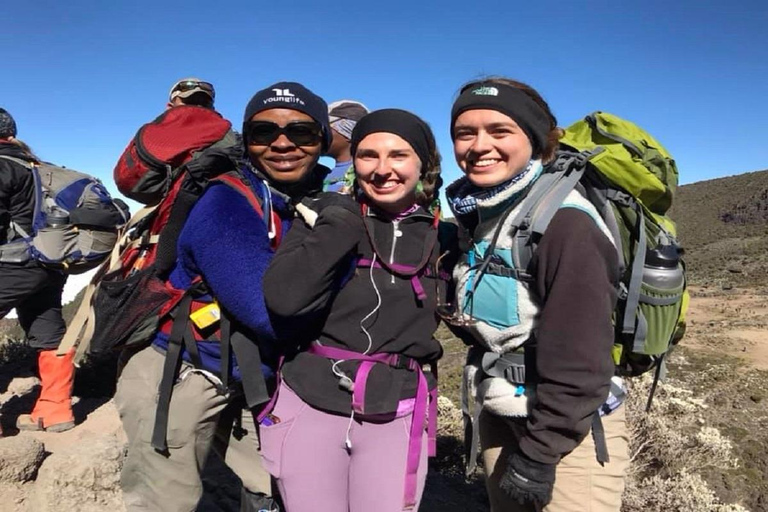 Moshi: 9-Day Kilimanjaro Climb the Lemosho Route